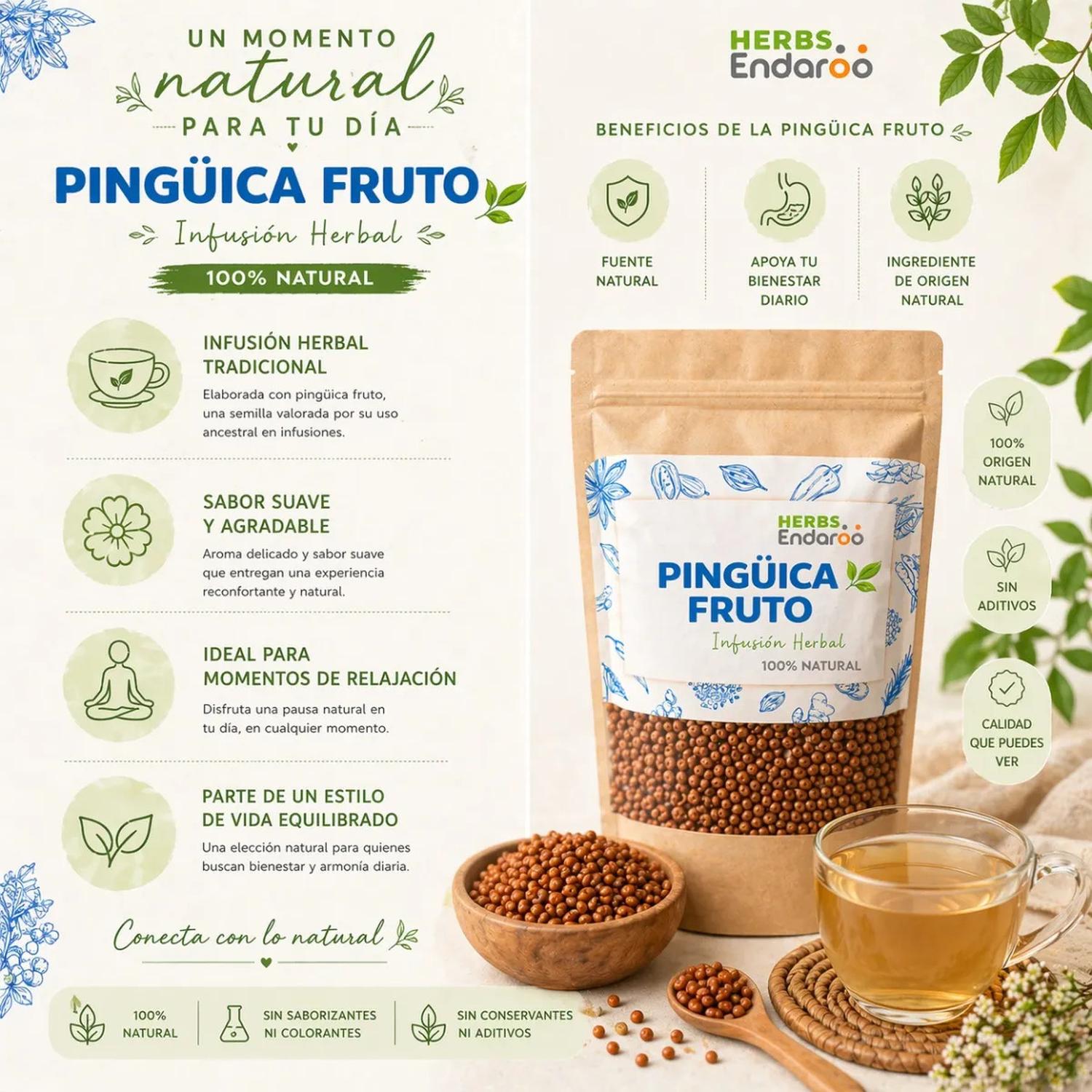 Pingüica Fruto Té 100g Naima | Infusión 100% Natural
